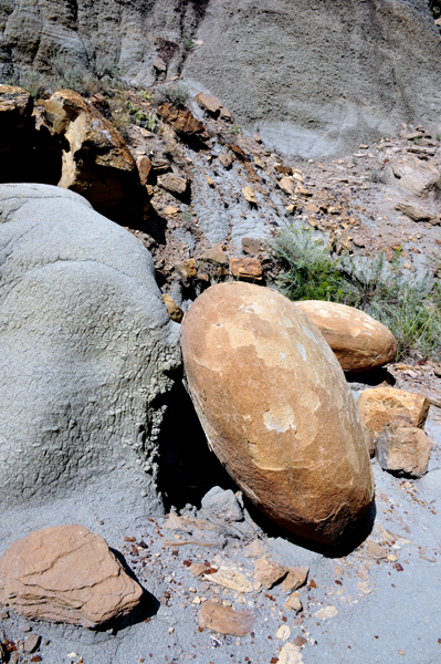 rocks on the trail at Makoshika State Park